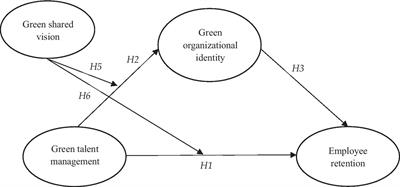 Cultivating green workforce: The roles of green shared vision and green organizational identity